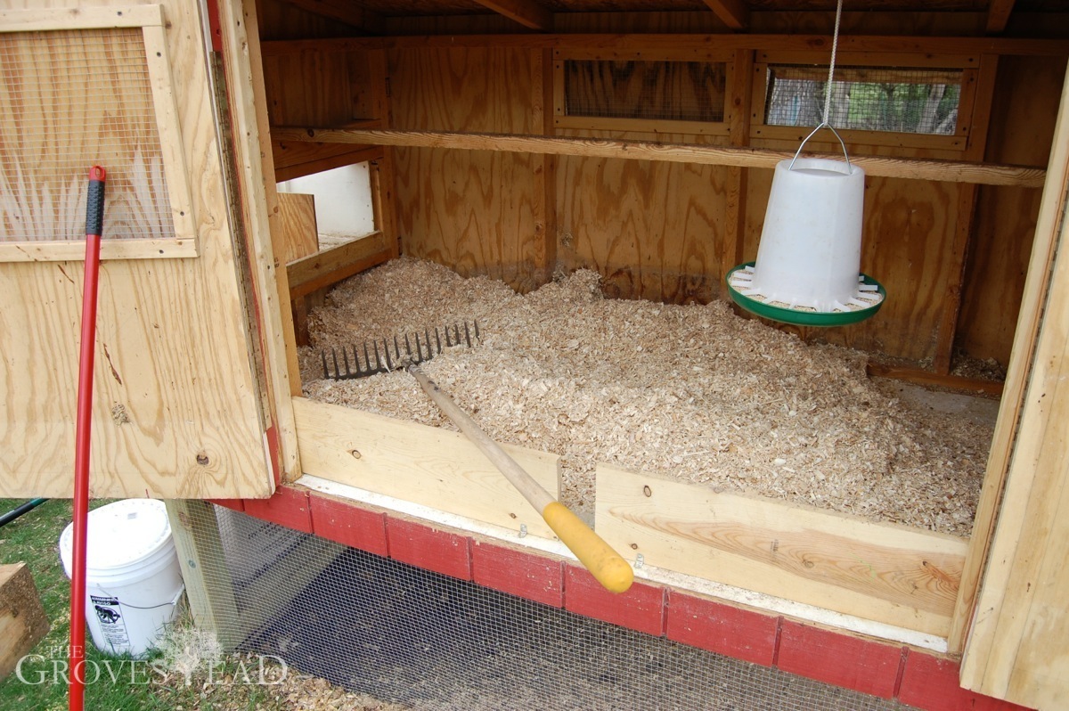 Chicken coop is all clean with fresh bedding.