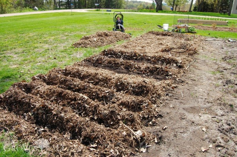 No-till garden planted
